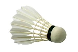 Badminton volant PNG image-10446